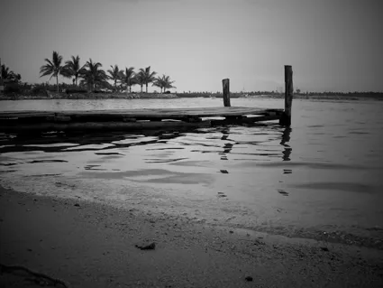 Barra de navidad