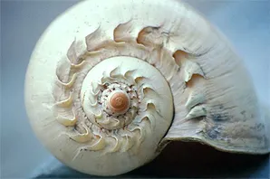 image005.jpg